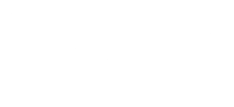 Palmo